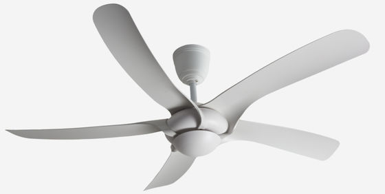 Beş ABS bıçaklı 52 inç fan düşük güç tüketimi tavan fanı