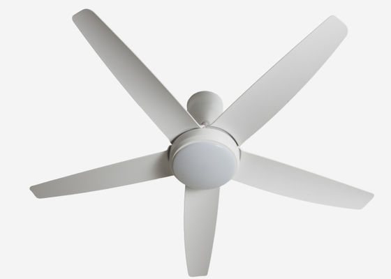 ECO Fanlar 56 Inch LED Modern LED Tavan Fanı DC Motor Ev Kullanımı