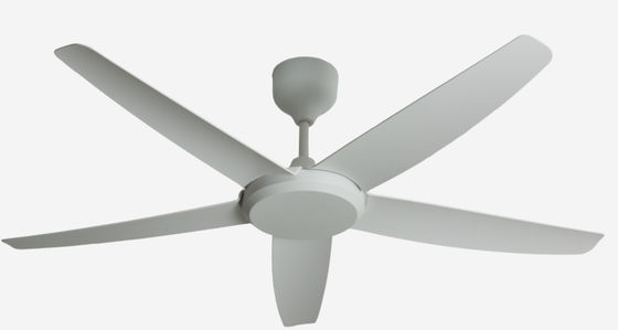 56 inçlik ECO fanlar Modern tavan fanı Enerji tasarrufu DC motor uzaktan kumanda