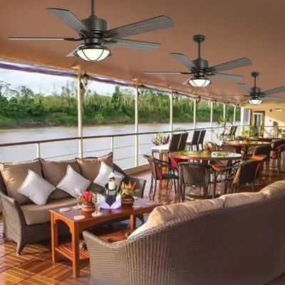 Plywood Blades Waterproof Ceiling Fan With Light Weatherproof Fans (Açık Hava Durumuna Karşı Dayanıklı Fanlar)